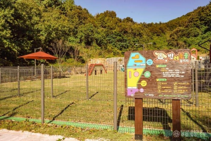1.목포시, 부주산에 반려동물 놀이터 개장 (2).JPG