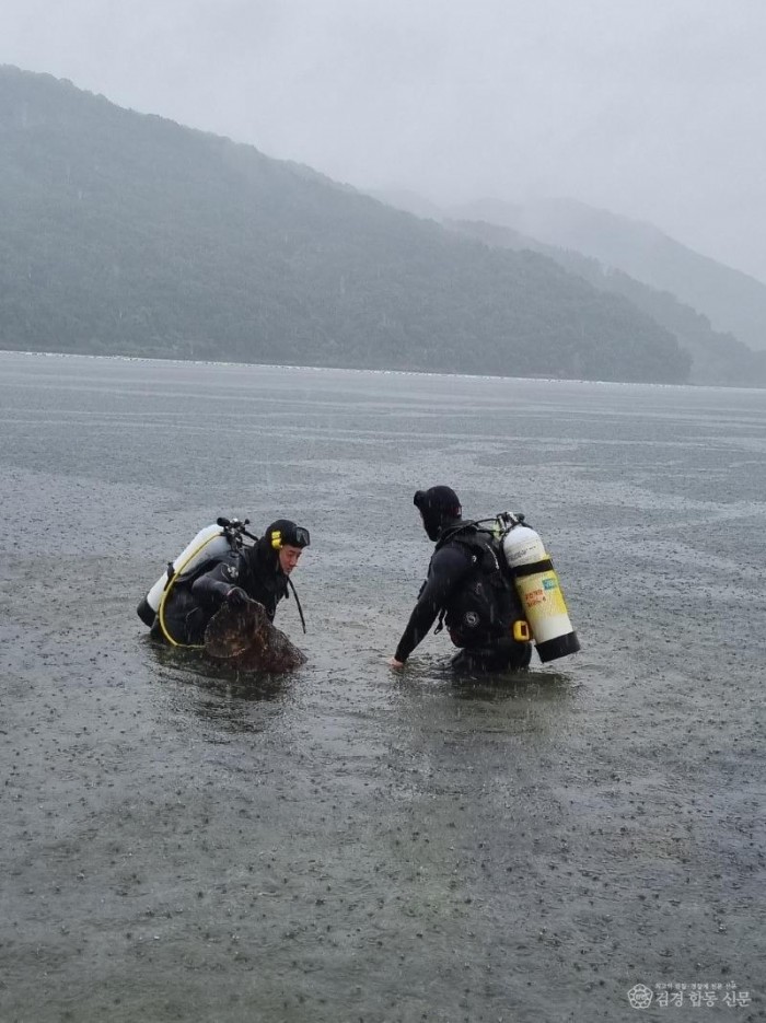 220713-5수중정화 활동 및 수중기술 심화훈련2.JPG