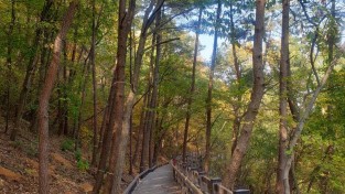 4.광양시, 서산어울길 연장사업 추진-공원과.jpg