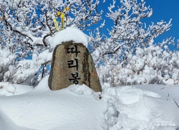 6.광양시, 환상적인 겨울 백운산 눈꽃여행 떠나 볼까-관광과 2.jpg