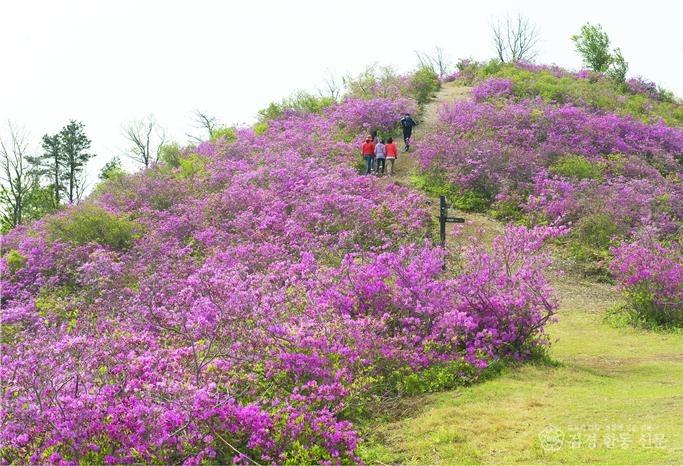 광양시, 주말엔 국사봉철쭉축제+옥곡오일장 구경가요 - 관광과 1.jpg