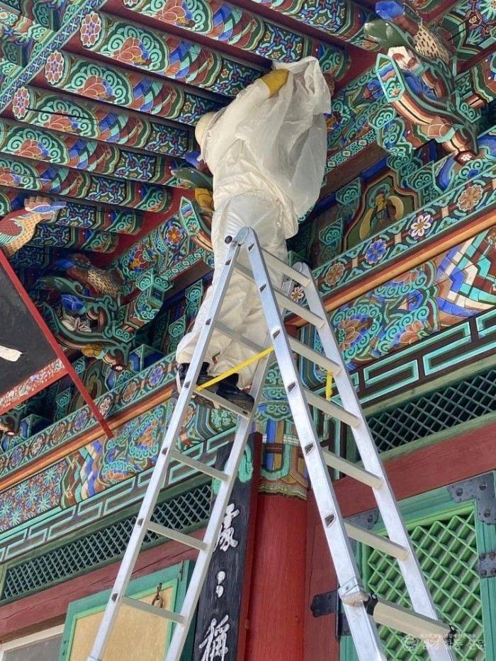 230814-2벌쏘임 사고 주의 2.jpeg