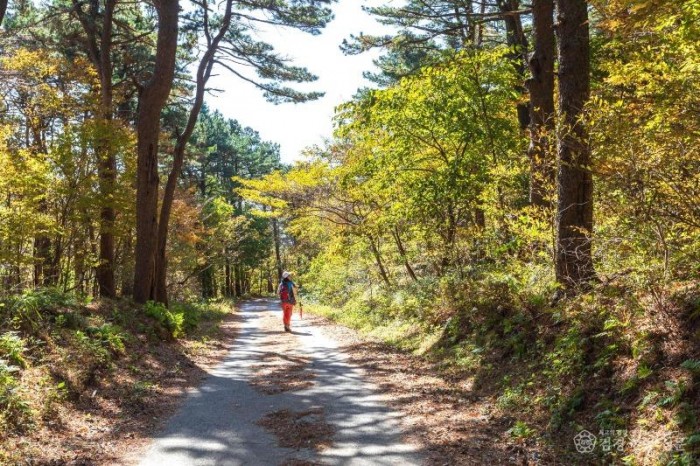 광양시, 가을에는 걷기 본능 자극하는 ‘광양백운산 둘레길’ 2코스- 관광과 1.jpg