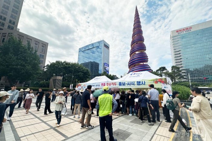 230908보도자료(청송군, 서울 시민들 상대로 청송자두 홍보 시식행사 펼쳐) (2).jpg