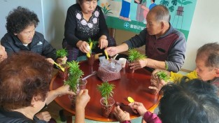 2. 공기정화 반려식물 키우기로 건강마을 실내 환경조성 (1).jpg