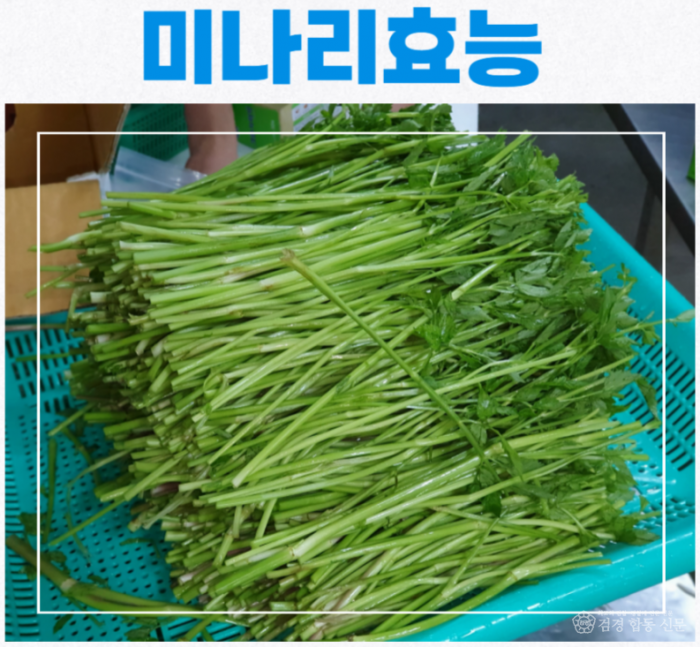 스크린샷 2024-04-24 230459.png