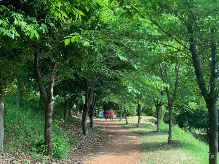 광양시, 마동생태호수공원 내 ‘맨발 산책로’ 조성 - 공원과.jpg