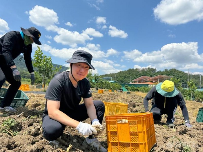 240529-1함안마늘밭농촌일손돕기.jpg