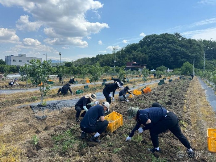 240529-1함안마늘밭농촌일손돕기3.jpg