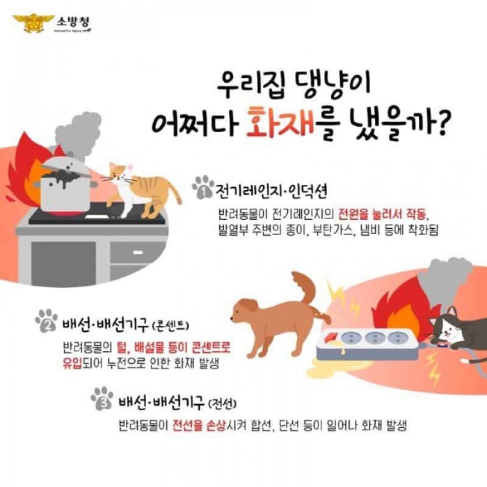 250220-3반려동물에 의한 화재 주의 당부.jpg