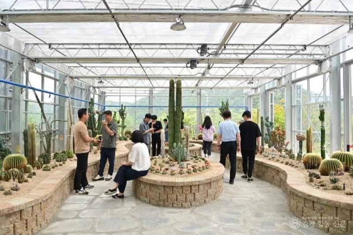 250221보도자료(청송군, 2025년 산림정책 방향 발표-청송솔빛정원 운영) (2).JPG