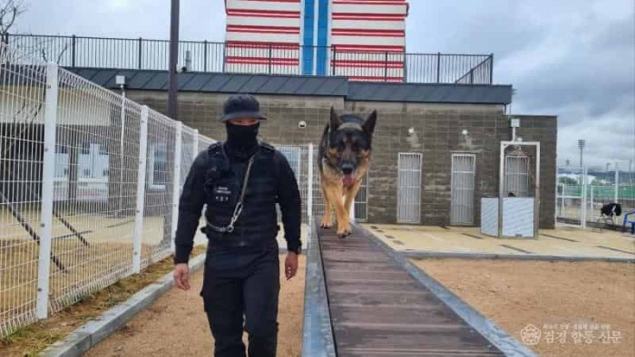 250305-1구조견 장애물 극복 훈련.jpg