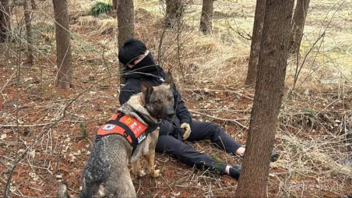 250305-1구조견 장애물 극복 훈련2.jpg