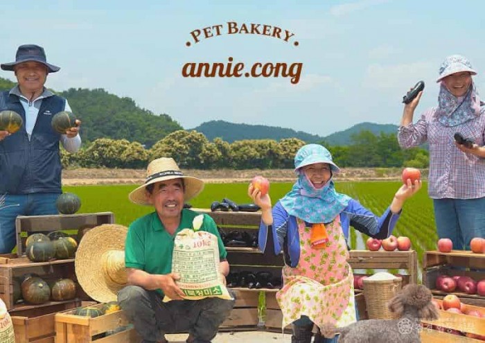 01의성군제공 애니콩1.jpg