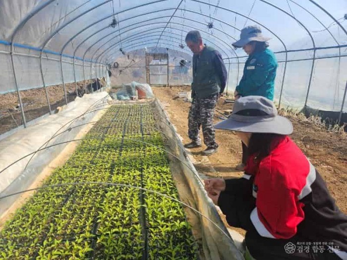 (예천군)예천군농업기술센터 고추 칼라병 리플릿 배포 (1).jpg