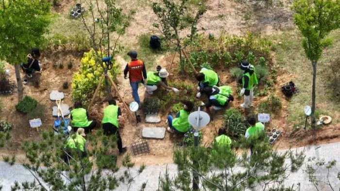 3-2. 광양시, ‘제80회 식목일 기념 나무심기 행사’ 개최 - 산림소득과(작년 행사 사진 2).jpg