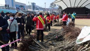 2. 봉화군, 봄맞이 군민 나무나누어주기 행사 성황 (2).JPG