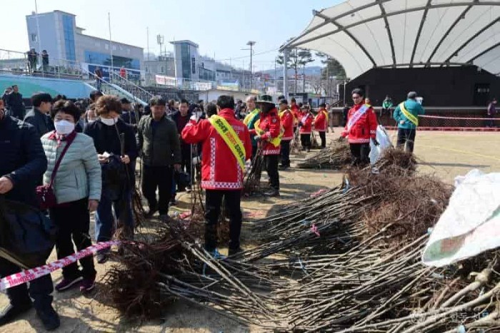 2. 봉화군, 봄맞이 군민 나무나누어주기 행사 성황 (2).JPG
