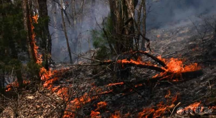 경북 의성군2.jpg