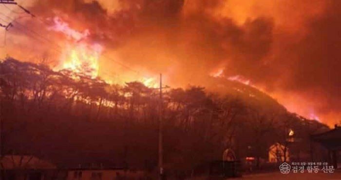 의성 고운사 소실aa.jpg