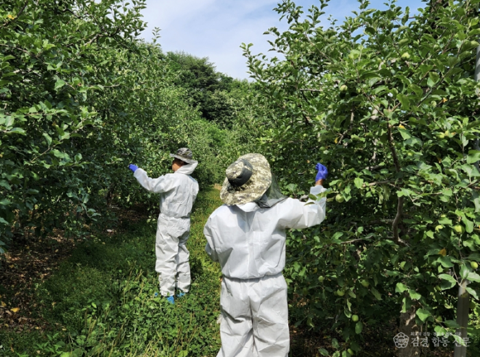 (예천군)사과‧배 화상병 예방 약제 적기 살포 당부 (2).png