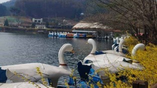 20240406_110642 (1).jpg