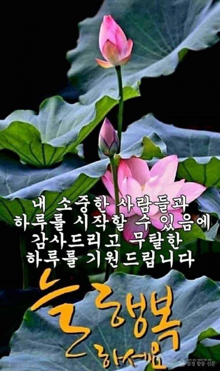 7. 늘 행복하세요.jpg