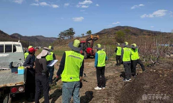 01의성군제공 고추 정식 작업 지원1.jpeg