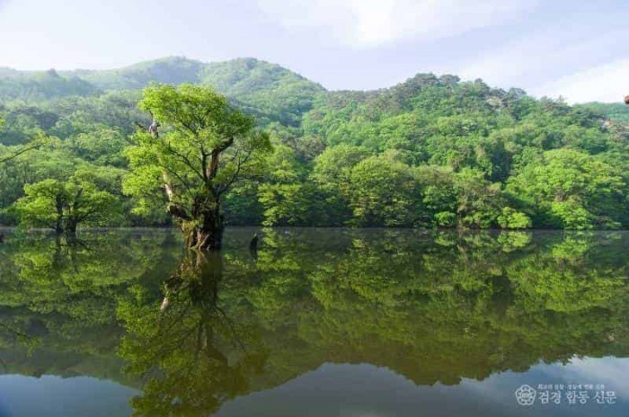 250428보도자료(여행이 곧 기부! 청송으로 떠나자[청송군, 개별관광객 인센티브 지원 사업 실시]-주산지) (2).jpg