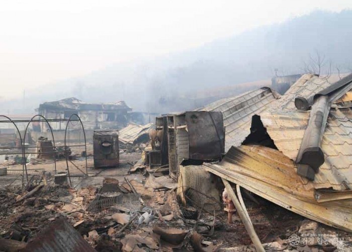 3-4 사진(영양군 산불 피해 복구 지원을 위해 1,148억 원 투입).jpg