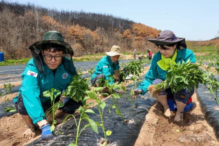 01의성군제공 농촌일손돕기1.jpg