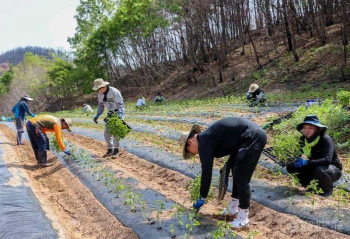 01의성군제공 농촌일손돕기3.jpg