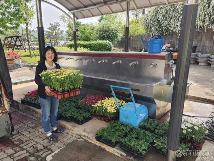 학교4-H회에 꽃묘를 배부하는 모습.jpg