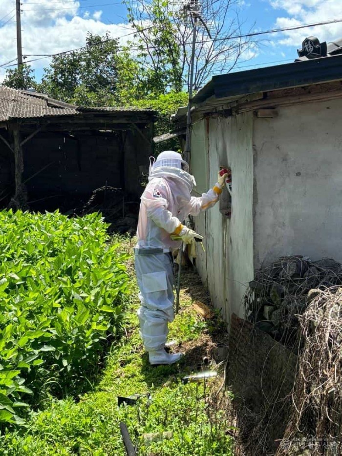 250514-1의령군 주택가 벌집제거.jpg