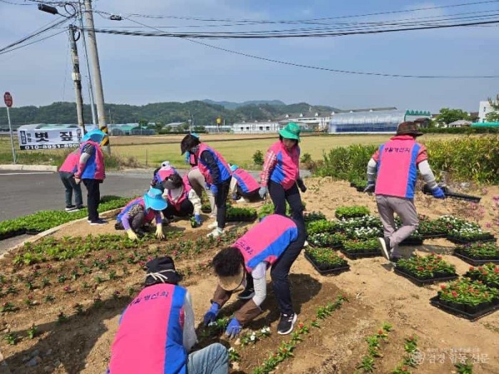 [농촌지원과]꽃 심기.jpg