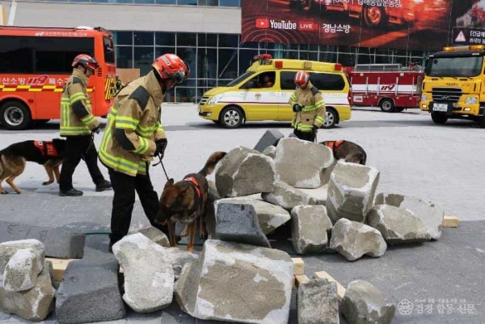 250515-1구조견을 통한 구조 대상자 수색.jpg