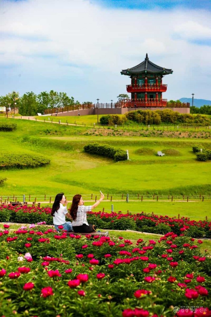 01의성군제공 조문국 작약1.jpg