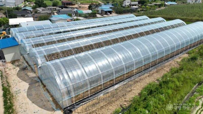 250519보도자료(청송군, 2025 공약이행 및 정보공개 평가서 최우수 등급 선정[스마트 농업 경영시스템 및 스마트팜 구축]).JPG