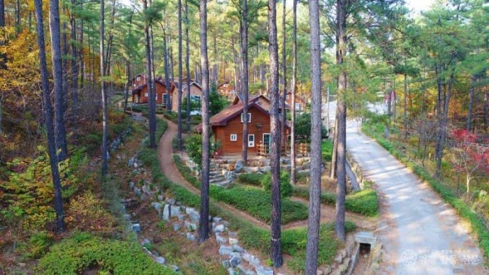 3. 광양시, ‘백운산자연휴양림 광양시민 우선 예약제’ 운영  - 휴양림과(백운산자연휴양림).jpg