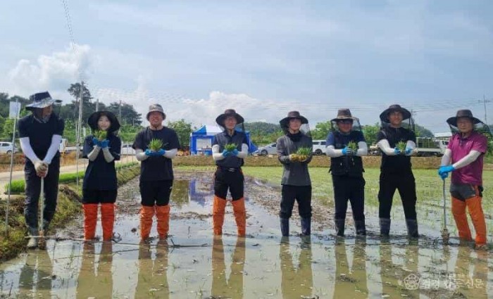[상주시 기술보급과]청년농과 미소진품 모내기.jpg