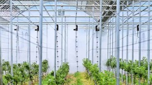 250619보도자료(청송군, 스마트사과원 무인방제시스템 시연회 개최) (1).jpg