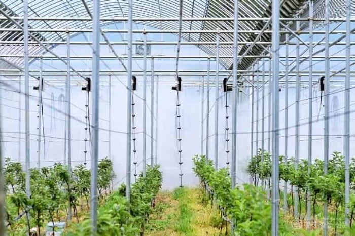 250619보도자료(청송군, 스마트사과원 무인방제시스템 시연회 개최) (1).jpg