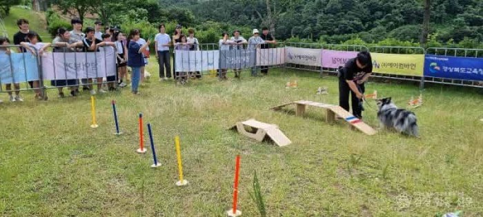 4.경북교육청, ‘생명사랑 가족 캠프’ 성황리에 완료!(반려동물과 함께한 생명사랑 인성교육 실천)_02.jpg