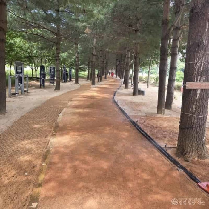 3.황톳길 조성 모습 (2).jpg