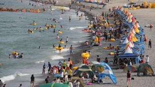 1-1. 11일 해수욕장 일제 개장_01.JPG