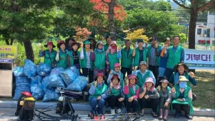 남면 새마을협의회 연도변 제초작업 실시-남면(사진1).jpg