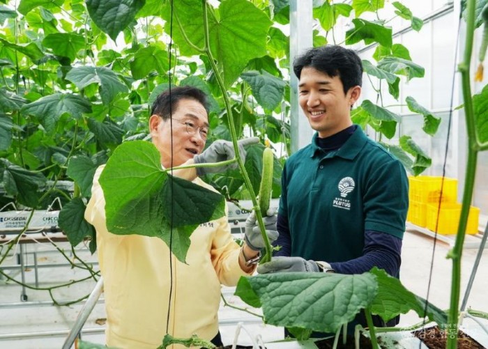 2 [사진] 영천시, ‘지역특화 임대형 스마트팜’ 오이 첫 수확 시작! (1).jpg