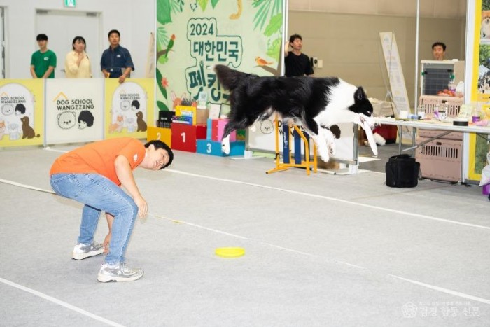 [낭만관광과]2024 대한민국 펫캉스1(지난해).jpg