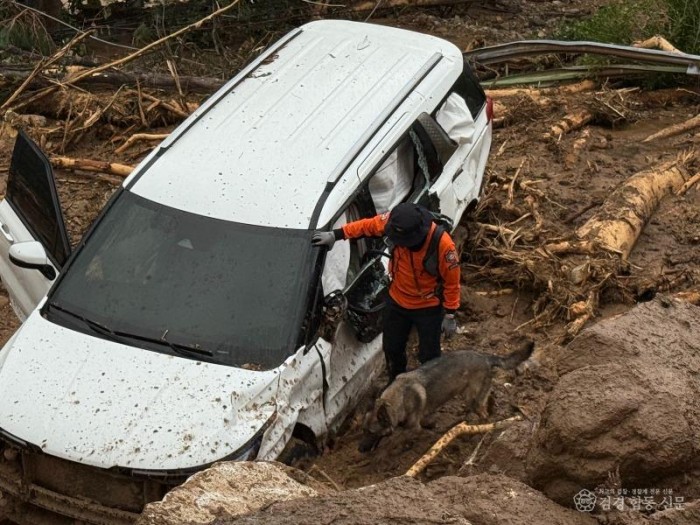 250721-1구조견 수색2.jpg