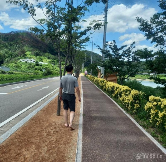 2_영덕군, 힐링 산책로 ‘황금사철 거리’ ‘맨발 황톳길’ 조성.jpg
